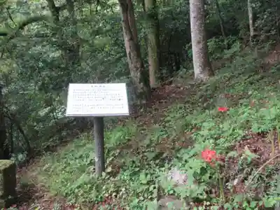 東郷神社(埼玉県)