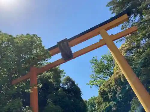 川越氷川神社(埼玉県)