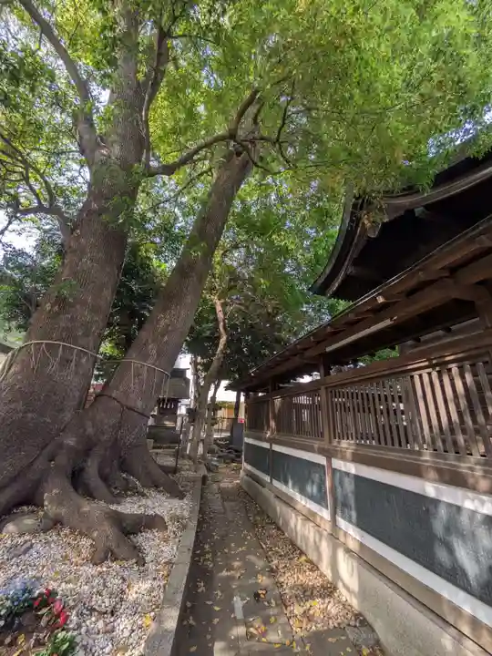 鳩ヶ谷氷川神社(埼玉県)