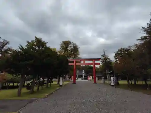 北海道護國神社の鳥居