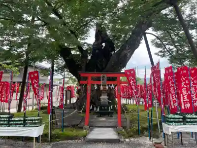 秩父今宮神社(埼玉県)