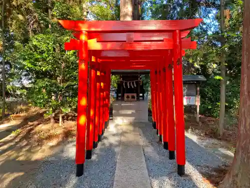 甲斐國一宮 浅間神社の鳥居