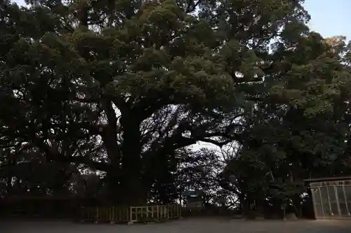 高良大社(福岡県)