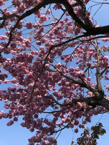 三嶋神社の自然