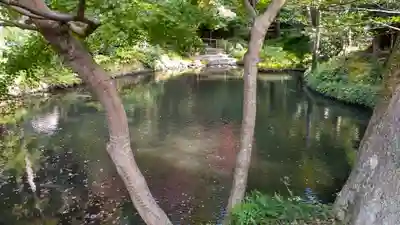 鶴岡八幡宮(神奈川県)