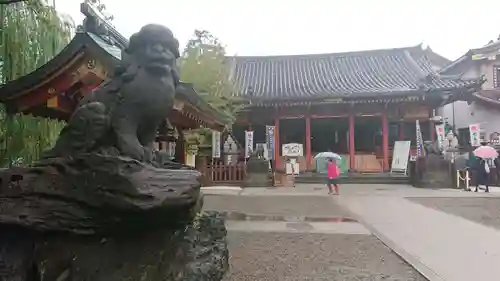 浅草神社の狛犬