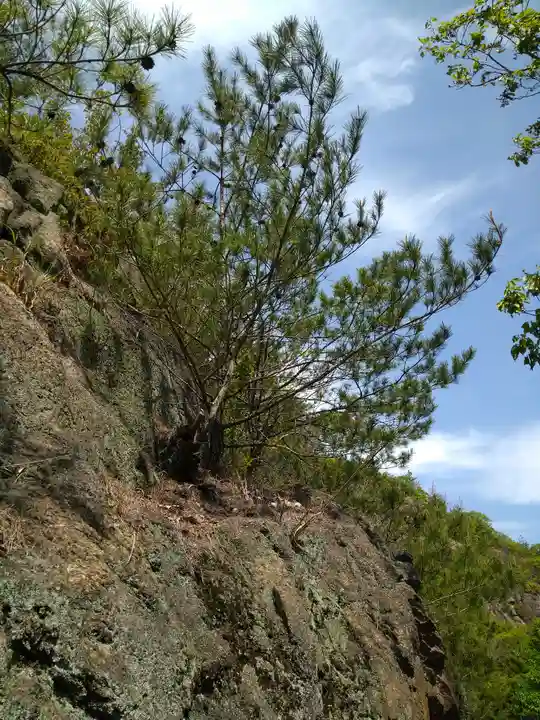 弁財天宮の自然