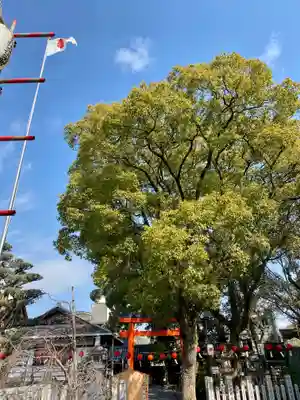 射楯兵主神社(兵庫県)