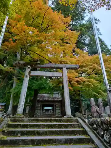 八王子神社の鳥居