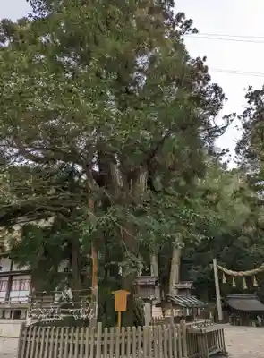 大神神社(奈良県)