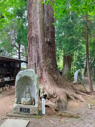 大悲願寺の仏像