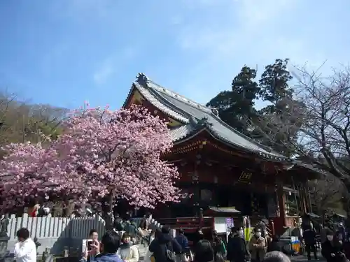 楽法寺（雨引観音）の本殿