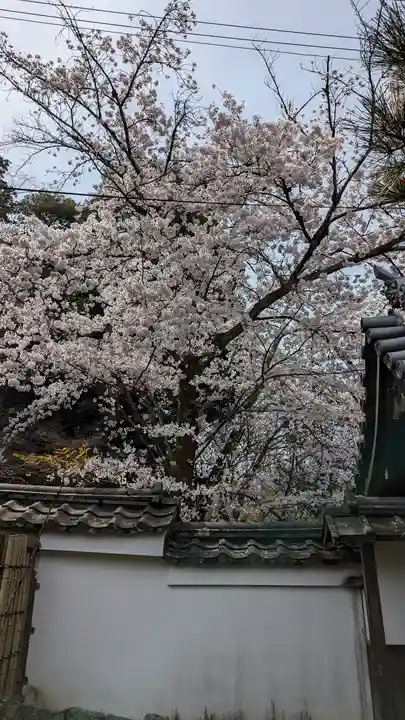 喜運院(京都府)