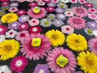 多聞寺の手水舎