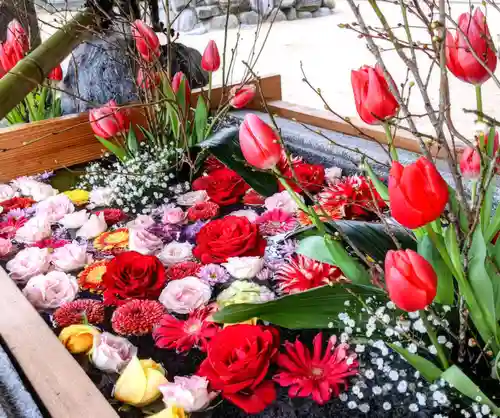 三津厳島神社の手水舎