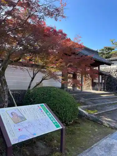 酬恩庵一休寺(京都府)