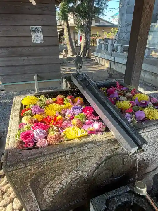 上野総社神社(群馬県)