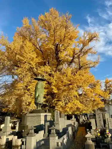 善福寺(東京都)