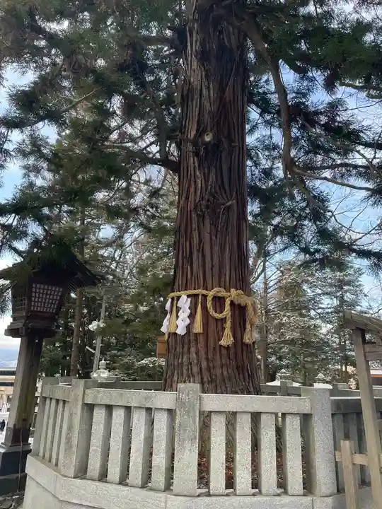 諏訪大社下社秋宮(長野県)