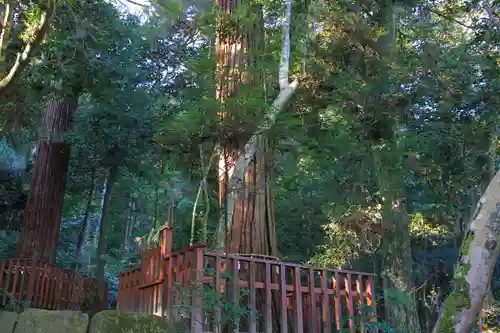 八重垣神社の自然