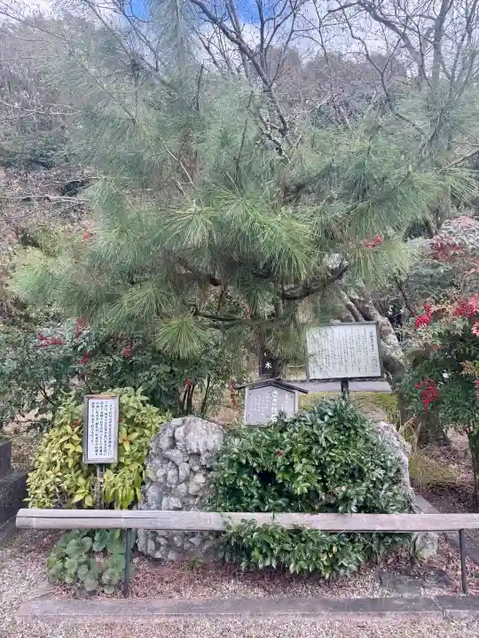 京都乃木神社の{uncategorized: "未分類", other: "その他", undefined: "問題あり", building: "その他建物", grave: "お墓", sacred_gate: "鳥居", guardian: "狛犬", statue: "像", buddha: "仏像", history: "歴史", nature: "自然", garden: "庭園", animal: "動物", pagoda: "塔", temizu: "手水舎", mountain_gate: "山門・神門", sanctuary: "本殿・本堂", subordinate: "末社・摂社", art: "芸術", scenery: "景色", jizo: "地蔵", ema: "絵馬", goshuin: "御朱印", omikuji: "おみくじ", items: "授与品その他", amulet: "お守り", goshuincho: "御朱印帳", eats: "食事", festival: "お祭り", votive_dance: "神楽", shichigosan: "七五三参", wedding: "結婚式", experience: "体験その他", initially: "初詣", around: "周辺", anti_infection: "感染症対策"}