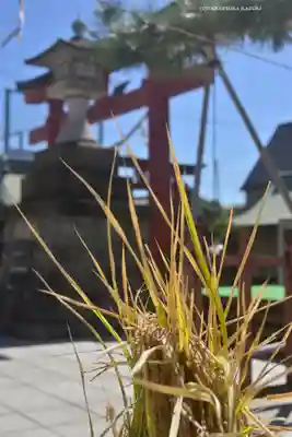 東京羽田 穴守稲荷神社(東京都)