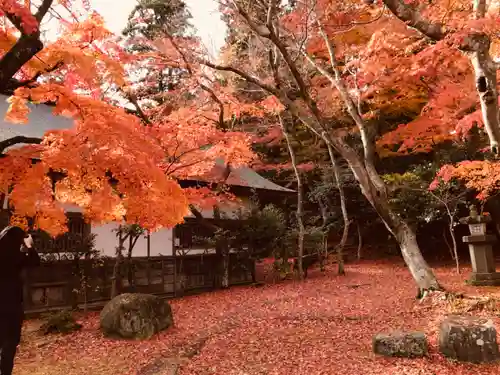 志波彦神社・鹽竈神社の庭園