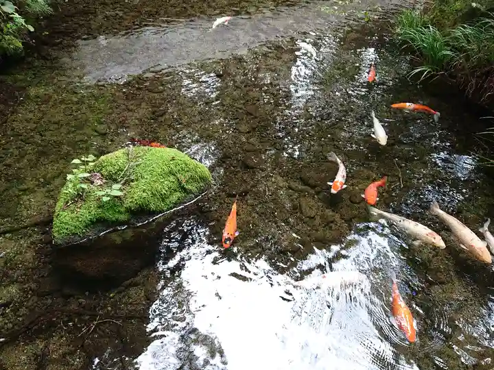 塩原八幡宮の動物