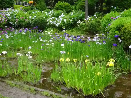 天台宗　長窪山　正覚寺の自然