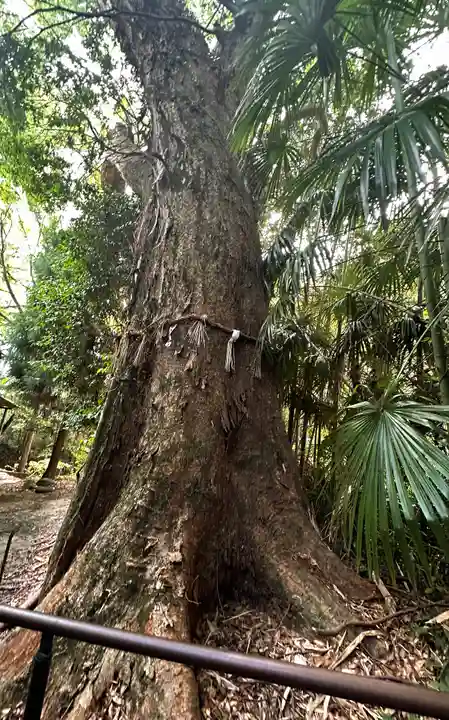姫大神社(奈良県)