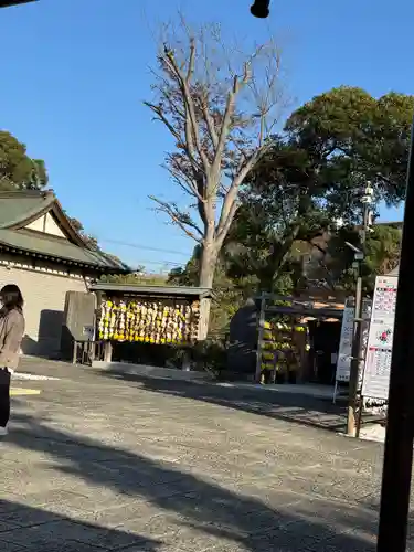 菊田神社(千葉県)