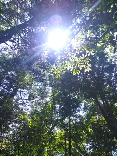 田倉牛神社の自然
