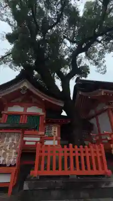 宇佐神宮(大分県)