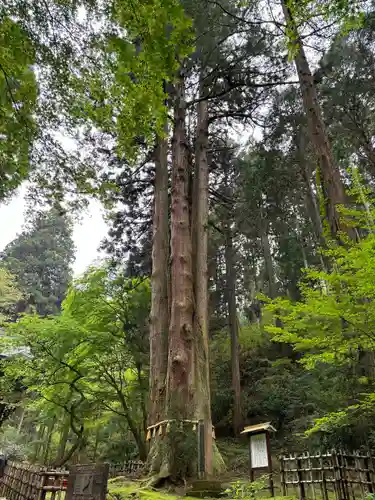 御岩神社の自然