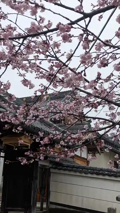 蓮経寺(滋賀県)