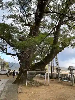 薬王寺(徳島県)