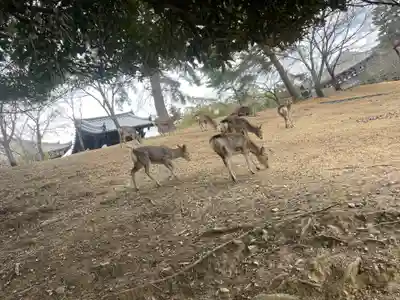 東大寺戒壇院戒壇堂(奈良県)