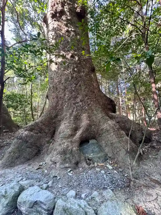 伊勢神宮外宮(豊受大神宮)の{uncategorized: "未分類", other: "その他", undefined: "問題あり", building: "その他建物", grave: "お墓", sacred_gate: "鳥居", guardian: "狛犬", statue: "像", buddha: "仏像", history: "歴史", nature: "自然", garden: "庭園", animal: "動物", pagoda: "塔", temizu: "手水舎", mountain_gate: "山門・神門", sanctuary: "本殿・本堂", subordinate: "末社・摂社", art: "芸術", scenery: "景色", jizo: "地蔵", ema: "絵馬", goshuin: "御朱印", omikuji: "おみくじ", items: "授与品その他", amulet: "お守り", goshuincho: "御朱印帳", eats: "食事", festival: "お祭り", votive_dance: "神楽", shichigosan: "七五三参", wedding: "結婚式", experience: "体験その他", initially: "初詣", around: "周辺", anti_infection: "感染症対策"}