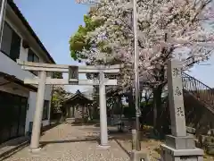 津島神社の鳥居