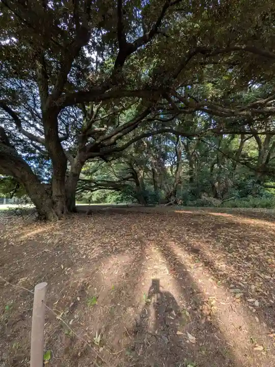明治神宮(東京都)