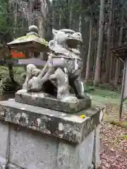 丹内山神社の狛犬