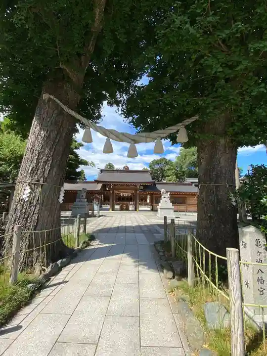 亀ケ池八幡宮のその他建物