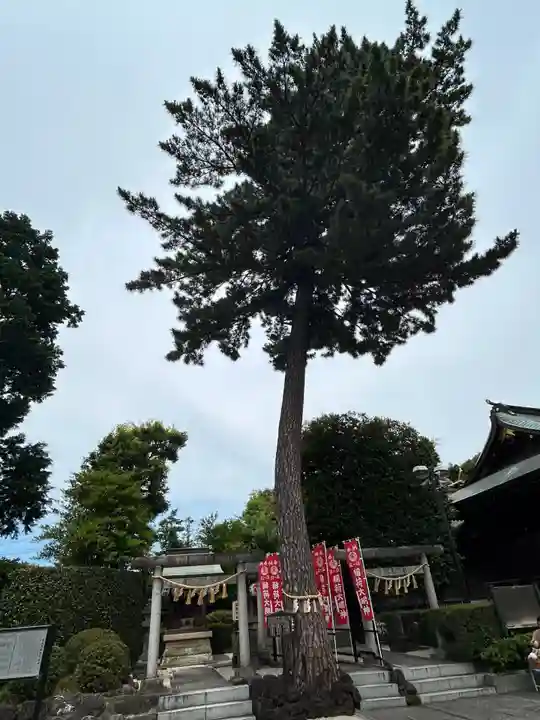 中野沼袋氷川神社(東京都)