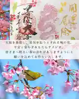 【公式】龍門院常楽寺(秩父札所十一番)の御朱印