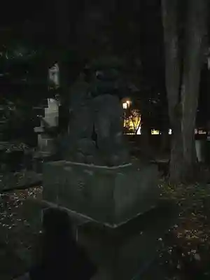 新琴似神社の狛犬