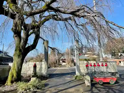 台林寺(栃木県)