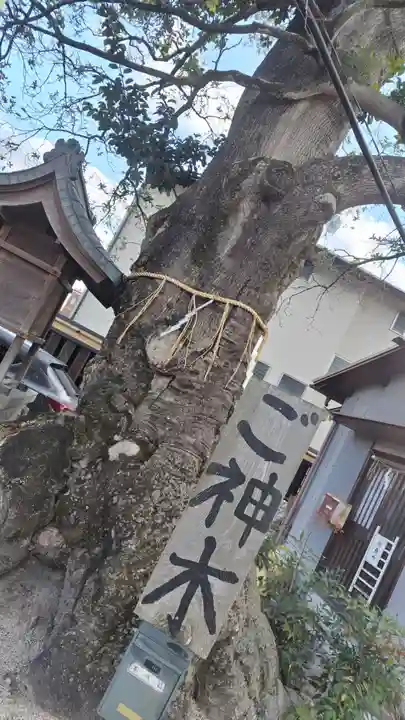 櫟谷七野神社(京都府)