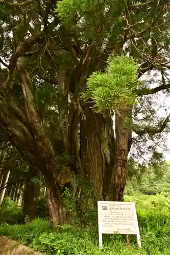 五所神社(徳島県)