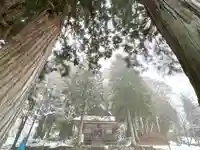 戸隠神社火之御子社(長野県)