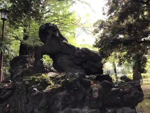 赤坂氷川神社の狛犬